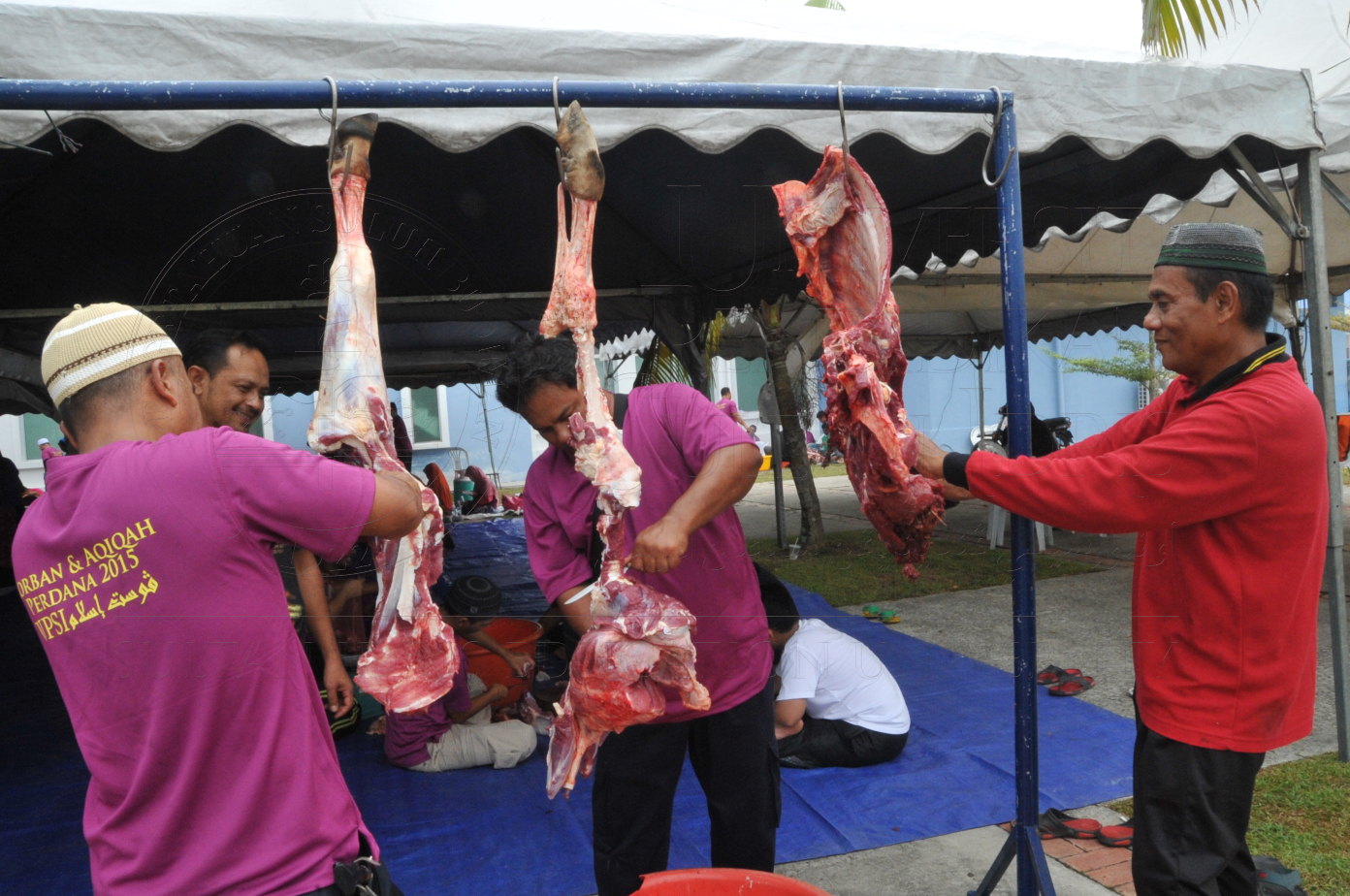 PRO15 150 KORBAN HAS 7021